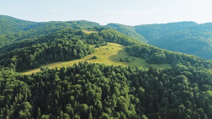 Wall Mural - Panoramic view of mountainous forest region on sunny day