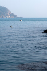 Wall Mural - idyllic seascape with the floating buoys and cliff