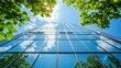 © POV Studio - Skyscraper, Green Canopy, Sunlight, City, Reflection, Sustainability, Low Angle, Eco-friendly