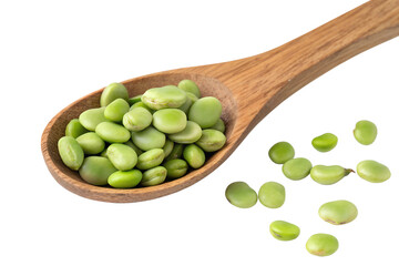 Wall Mural - broad beans in wooden spoon isolated on transparent background png
