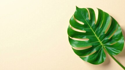 Aufkleber - A single vibrant green tropical leaf rests elegantly on a pale beige background, creating a serene and minimalist image perfect for design projects needing a touch of natural beauty.