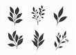 © PixelProvisions - Minimalist Botanical Silhouette Set – Elegant Black Leaves and Branches for Modern Floral Designs, Patterns, and Digital Art