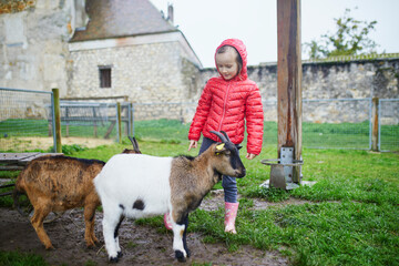 Wall Mural - Adorable preschooler girl playing with goat at farm.