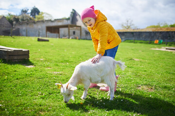 Wall Mural - Adorable preschooler girl playing with goat at farm.