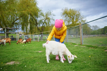 Wall Mural - Adorable preschooler girl playing with goat at farm.