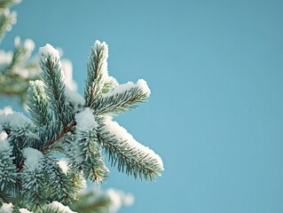 Wall Mural - pine tree with snow
