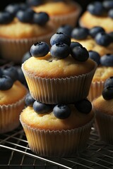 Wall Mural - Cupcakes with blueberries