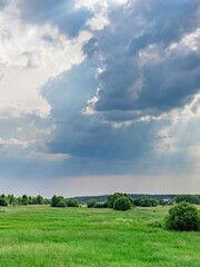 Wall Mural - Field of grass with a cloudy sky in the background