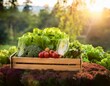 © Esta Webster - cagette de légumes frais dans un verger au soleil en ia