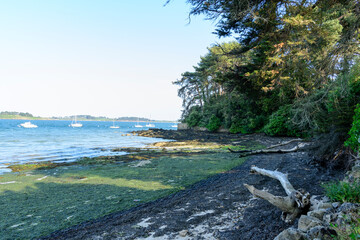 Wall Mural - The beach on Berder Island in Larmor-Baden in Europe, France, Brittany, Morbihan, Larmor Baden, in summer, on a sunny day.