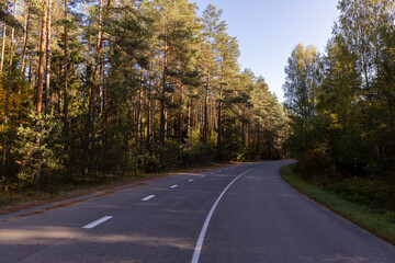 Wall Mural - a narrow highway in the forest in the autumn season