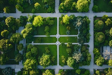 Wall Mural - Serene Urban Park - Aerial Perspective