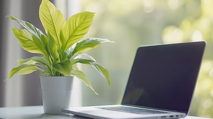 Poster - Modern workspace with a laptop and green plant, symbolizing sustainability, productivity, eco-friendly design, and a balanced professional environment, Generative AI
