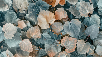 Poster - Lush green and orange leaves create vibrant natural pattern, showcasing beauty of foliage in serene environment