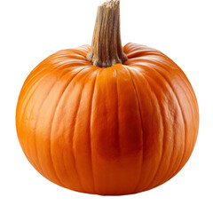 Wall Mural - pumpkin isolated on white background full depth of field