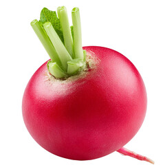 Wall Mural - radish isolated on white background full depth of field