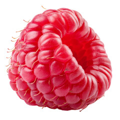 Wall Mural - raspberry isolated on white background full depth of field