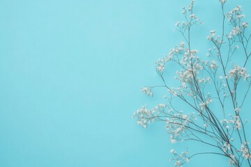 Canvas Print - white flowers in sky blue background