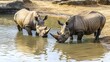 © zerogami - Two Rhinos Refreshing Themselves in a Waterhole
