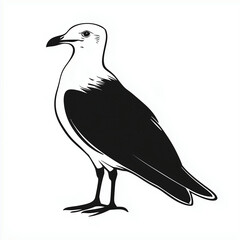 Wall Mural - Black and white seagull vector illustration icon 