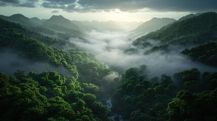 Sticker - Misty mountain landscape at dawn with lush greenery