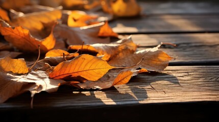 Wall Mural - foliage fall leaves on wood