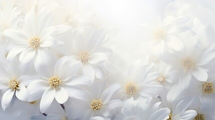 Wall Mural - flowers white floral background