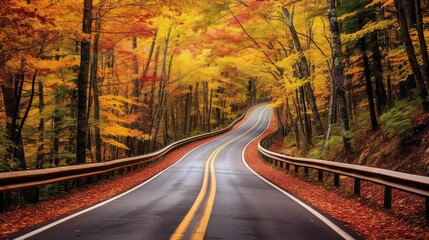 Wall Mural - foliage maine road