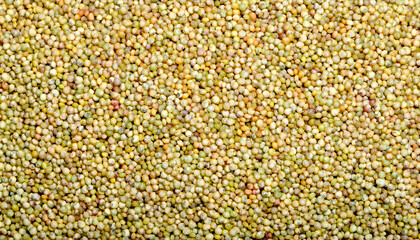Fototapete - Repeating pattern of tiny quinoa grains, emphasizing their round shape and light beige or red color. Ideal for healthy eating, superfoods, or modern cuisine concepts. Texture, background.
