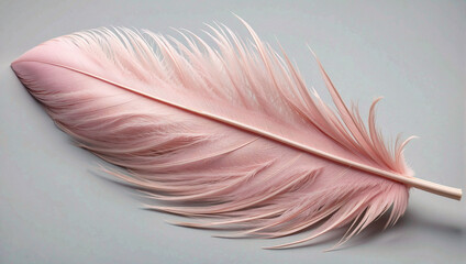 white feather on black background