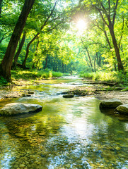 Wall Mural - Sunny stream flows through green leafy forest. Calm scenery for nature websites