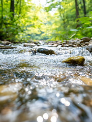 Wall Mural - A serene, flowing river over rocks in a lush forest, perfect for nature ads