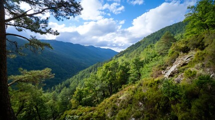 Canvas Print - Stunning panoramic view of lush green mountains beneath a bright blue sky with fluffy white clouds : Generative AI