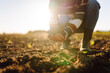 © maxbelchenko - Close- up of the female hands touching dry ground in an agricultural field while analyzing soil during the summer day. Agriculture, gardening, business or ecology concept.