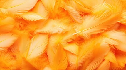 Aufkleber - Vibrant Orange Feathers Splayed Across a Soft Textured Background