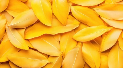 Aufkleber - Vibrant Yellow Leaves Arrangement on Soft Background for Nature Theme