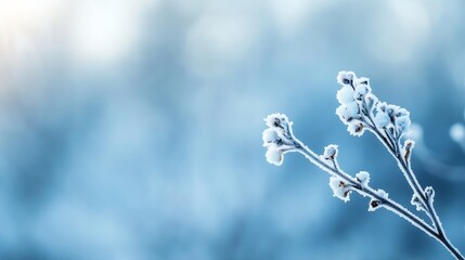 Poster - Frost Covered Branches in Winter Wonderland Captured in Soft Blue and White Tones : Generative AI