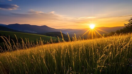 Canvas Print - Breathtaking sunset view over green grassy hills with radiant light creating a stunning natural landscape : Generative AI