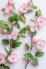 Wall Mural - A group of pink flowers sitting on a white surface, great for still life photography and floral designs