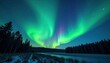 © Temteen - Starry night sky with aurora borealis and forest, aurora borealis, starry night sky