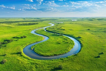 Wall Mural - Aerial view of a river flowing through a vibrant green landscape, perfect for illustrating environmental or outdoor-themed stories