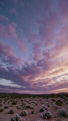 Aufkleber - Desert Blooms at Twilight