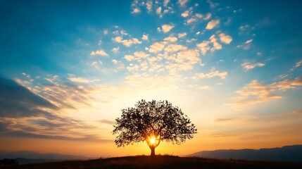 Aufkleber - Stunning silhouette of a lone tree against a vibrant sunset sky filled with colorful clouds : Generative AI