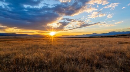 Poster - Stunning Sunset Over Rolling Hills with Golden Grassland Creating a Peaceful Scene : Generative AI