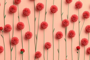 Poster - Vibrant pink pom pom flowers on a peach background, creating a cheerful spring atmosphere with playful emotions and a soft color palette