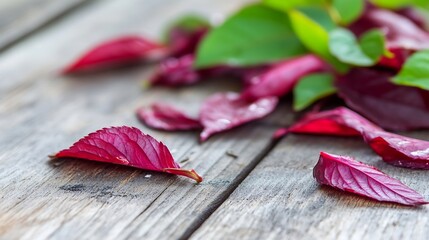 Poster - Vibrant red leaves and fresh green foliage on rustic wooden surface in natural lighting : Generative AI
