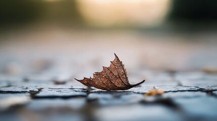 Poster - Single brown autumn leaf resting on cobblestone pavement with blurred background depth : Generative AI