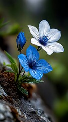 Wall Mural - A couple of blue flowers sitting on top of a rock