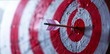 © Shiva ❣️Vishnu - Close-up of an arrow hitting the bullseye on a red and white dartboard, symbolizing precision, accuracy, goal achievement, and success in business and sports