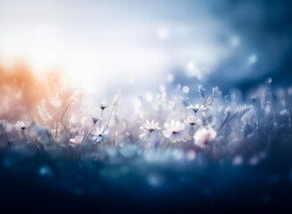 Sticker - soft focus image of a field of white flowers, daisies, with a dreamy and blurred background. blue an